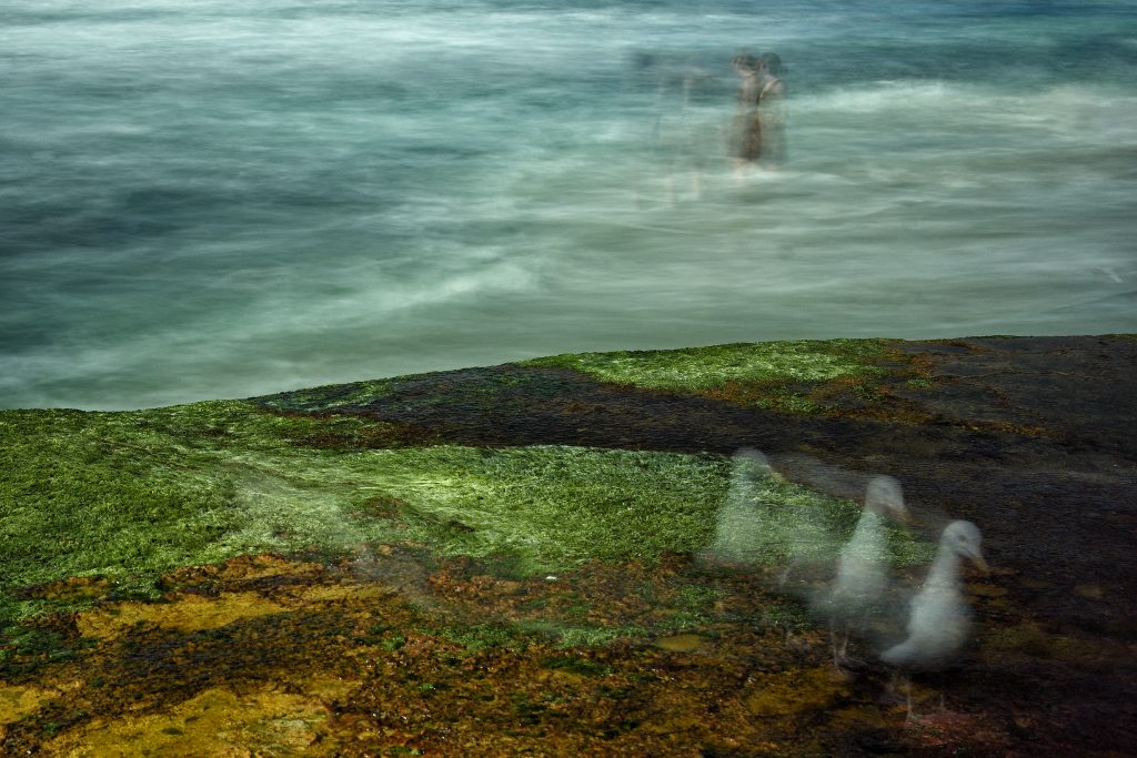Long-exposure coastal landscape with green rocks and a small distant figure.