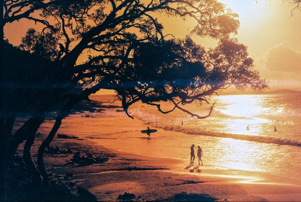 Large tree silhouetted over a beach at sunset with small figures near the water.